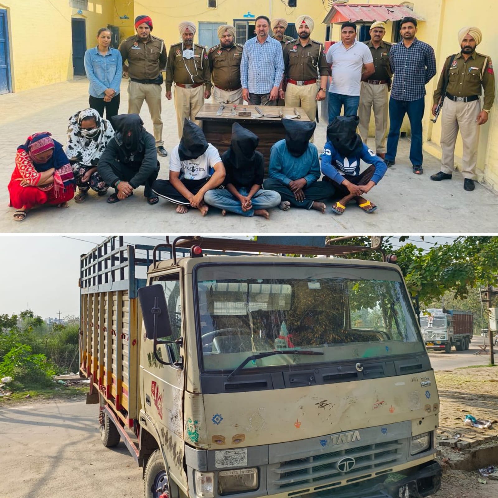 Cow Killing:7 arrested in Punjab's Tanda