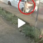 Kerala: Man Kicks little boy For Leaning On His Car,Arrested