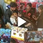 Dhanbad family celebrates pet dog’s birthday with 350 guests