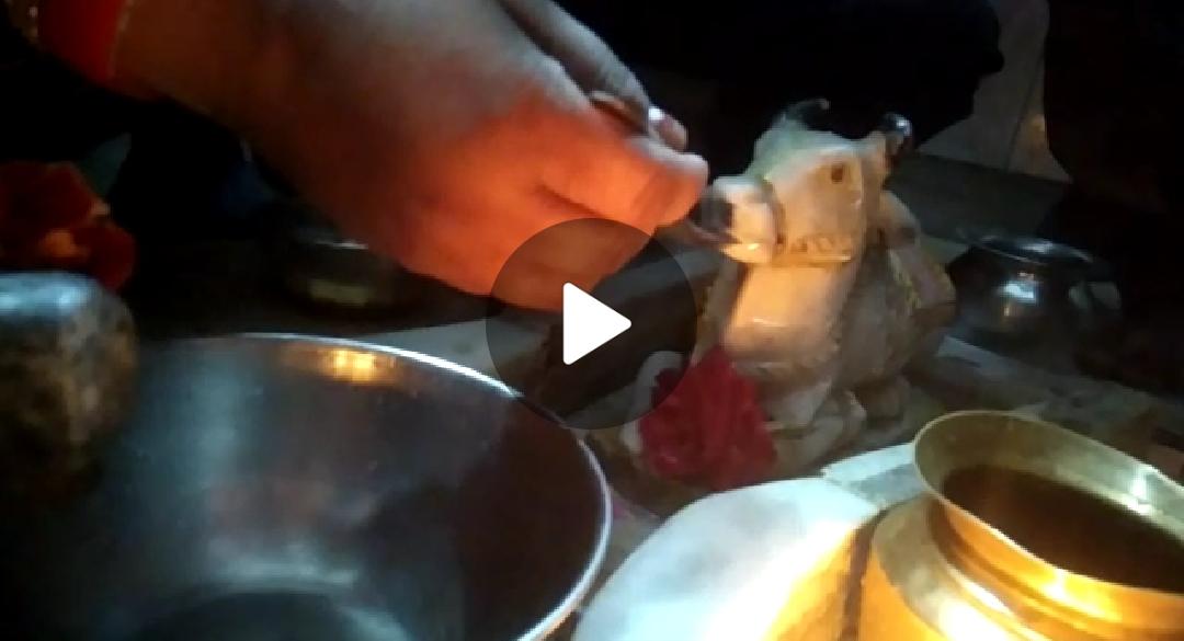 Devotees rush to Shiv Mandir Quila Chownk Patiala as Nandi idols ‘drink’ milk