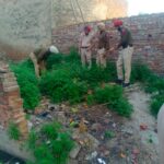 Patiala Police in Action,12 drug smugglers arrested