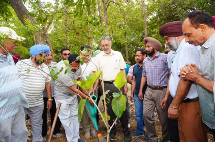 Patiala News: ਸਿਹਤ ਮੰਤਰੀ ਵੱਲੋਂ ਵਾਤਾਵਰਣ ਪਾਰਕ ਨੂੰ ਹੋਰ ਹਰਿਆ-ਭਰਾ ਬਣਾਉਣ ਲਈ ਵਿਸ਼ੇਸ਼ ਯੋਜਨਾ ’ਤੇ ਚਰਚਾ*  ਵਾਤਾਵਰਣ ਦੀ ਸਾਂਭ-ਸੰਭਾਲ ਲਈ ਲੋਕਾਂ ਦੀ ਭਾਗੀਦਾਰੀ ਬਹੁਤ ਜ਼ਰੂਰੀ: ਡਾ. ਬਲਬੀਰ ਸਿੰਘ 