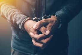 Punjab News: DAY 127 OF GANGSTRAN TE VAAR: PUNJAB POLICE CONDUCTS 369 RAIDS; 118 HELD