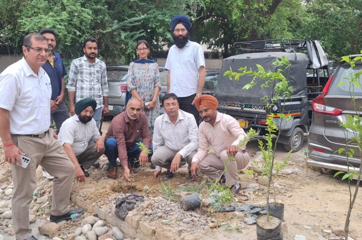 Patiala News: ਡਾਕਟਰ ਦਿਵਸ ਦੇ ਮੌਕੇ ਤੇ ਮਾਤਾ ਕੁਸ਼ਲਿਆ ਹਸਪਤਾਲ ਦੇ ਡਾਕਟਰਾਂ ਵਲੋਂ ਲਗਾਏ ਗਏ ਬੂਟੇ