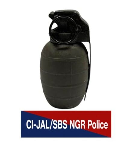 Punjab News:PUNJAB POLICE FOILS PLANNED ATTACK; TERROR MODULE OPERATIVE HELD WITH HAND GRENADE