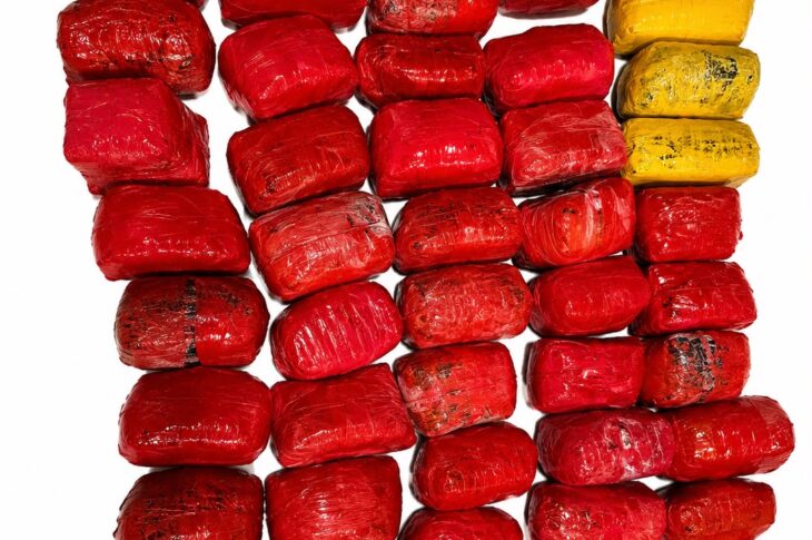Punjab News:CROSS-BORDER NARCOTICS SMUGGLING BID FOILED IN FEROZEPUR; 45KG HEROIN, 3KG ICE RECOVERED