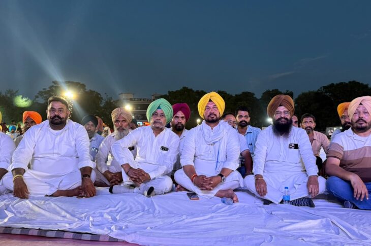 Patiala News:Successful organization of grand drone show at Nabha