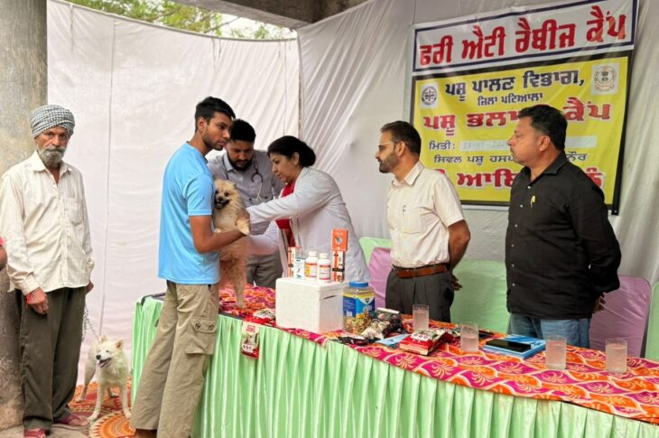 Patiala News:Free anti-rabies vaccination camp organized by Animal Husbandry Department at Civil Veterinary Hospital, Sanaur