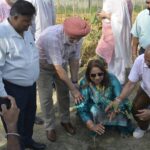 Patiala News:Punjab Sports University, Patiala celebrated its foundation day by planting saplings.