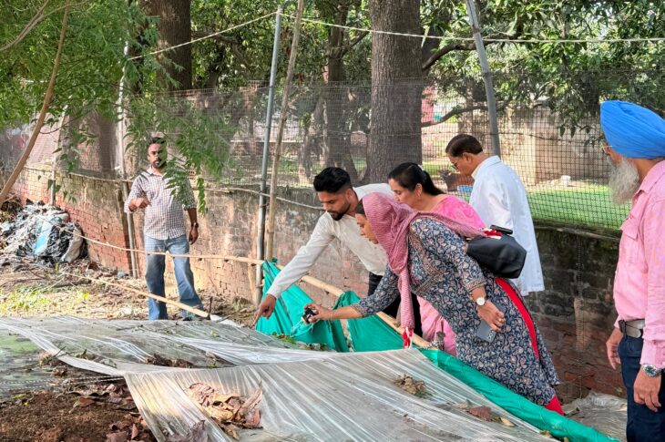 Patiala News:Awareness activities conducted in dengue hotspot areas