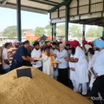 Punjab News:Food, Civil Supplies and Consumer Affairs Minister Lal Chand Kataruchak initiates paddy procurement from Batala Grain Market