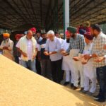 Punjab News:Cabinet Minister Lal Chand Kataruchak Reviews Paddy Purchase at Raiya Mandi