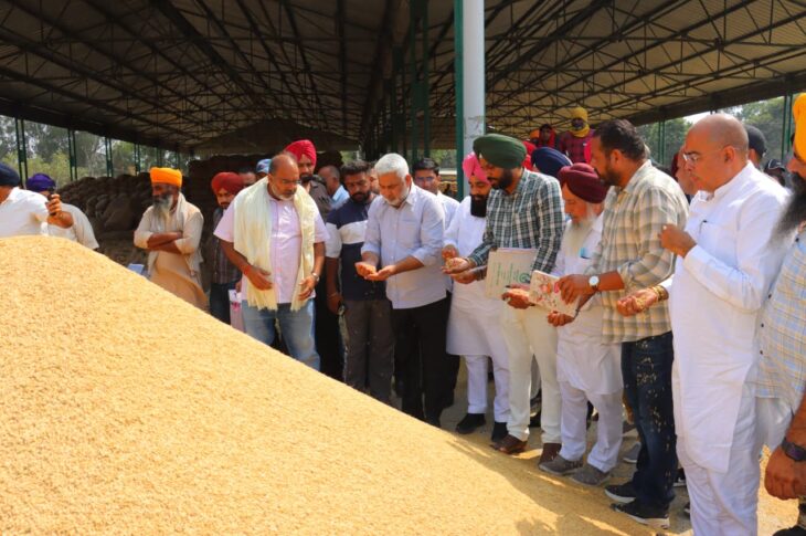 Punjab News:Cabinet Minister Lal Chand Kataruchak Reviews Paddy Purchase at Raiya Mandi