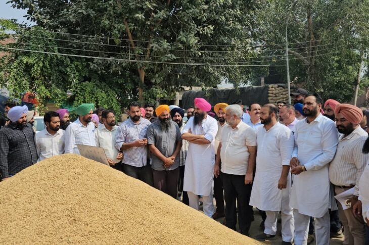 Punjab News:Chief Minister Bhagwant Singh Mann led State Government Fully Prepared for Smooth Paddy Procurement Operations Across Punjab: Food Minister Lal Chand Kataruchak