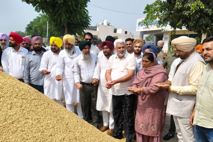 Punjab News:8.50 Lakh Metric Tonnes of paddy arrived in Punjab grain markets so far: Cabinet Minister Lal Chand Kataruchak